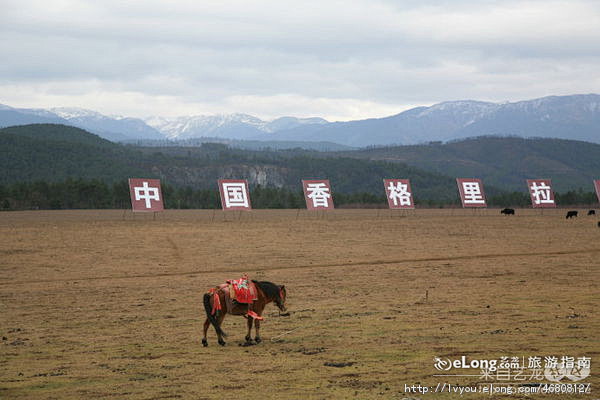 香格里拉（县城 图）