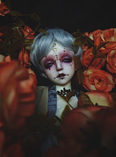 Jurinki采集到bjd