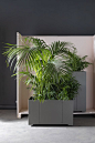 CAPE | Rectangular planter Cape Collection By Matière Grise design Luc Jozancy