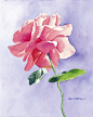 Karen L. Bell 清新自然的水彩花卉欣赏 花 自然 清新 水彩 手绘 唯美 