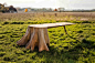   法国设计师 thomas de lussac 完成了一张名为「racine carré table」的独特桌子。在法国西北部的PERCHE区，设计师连同三位当地工匠将一颗树桩铲倒，再将经过精心打磨、并只有一条倾斜木腿的桌面与其连接，共同构成一张极具雕塑感的优雅家具。