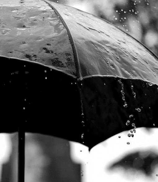O、伞、雨、黑白