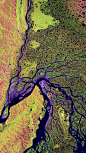 位于西伯利亚的勒拿河三角洲野生动物保护区，俄罗斯 (© USGS EROS Data Center/NASA)
勒拿河三角洲野生动物保护区的面积为5530平方英里，是俄罗斯最大的保护区之一。这张勒拿河流域的“伪彩色”图像是由陆地卫星7号拍摄的，图中的颜色是通过捕捉红外线、短波红外和红色波长而来的，光波的结合增强了各种地形特征的视野。保护区是众多重要鸟类物种的家园，各种陆地野生动物也在这里自由自在的生活。
2018-04-09
欧洲, 俄罗斯, 勒拿河三角洲野生动物保护区