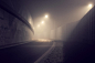 Mystical Pictures of Night Lights in the Fog