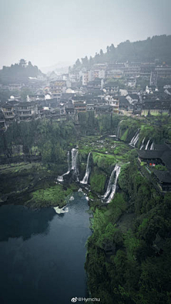 极品猪采集到山