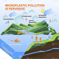 我来也_UP采集到Infographic图文信息