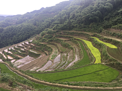 xiaopei1985采集到旅行