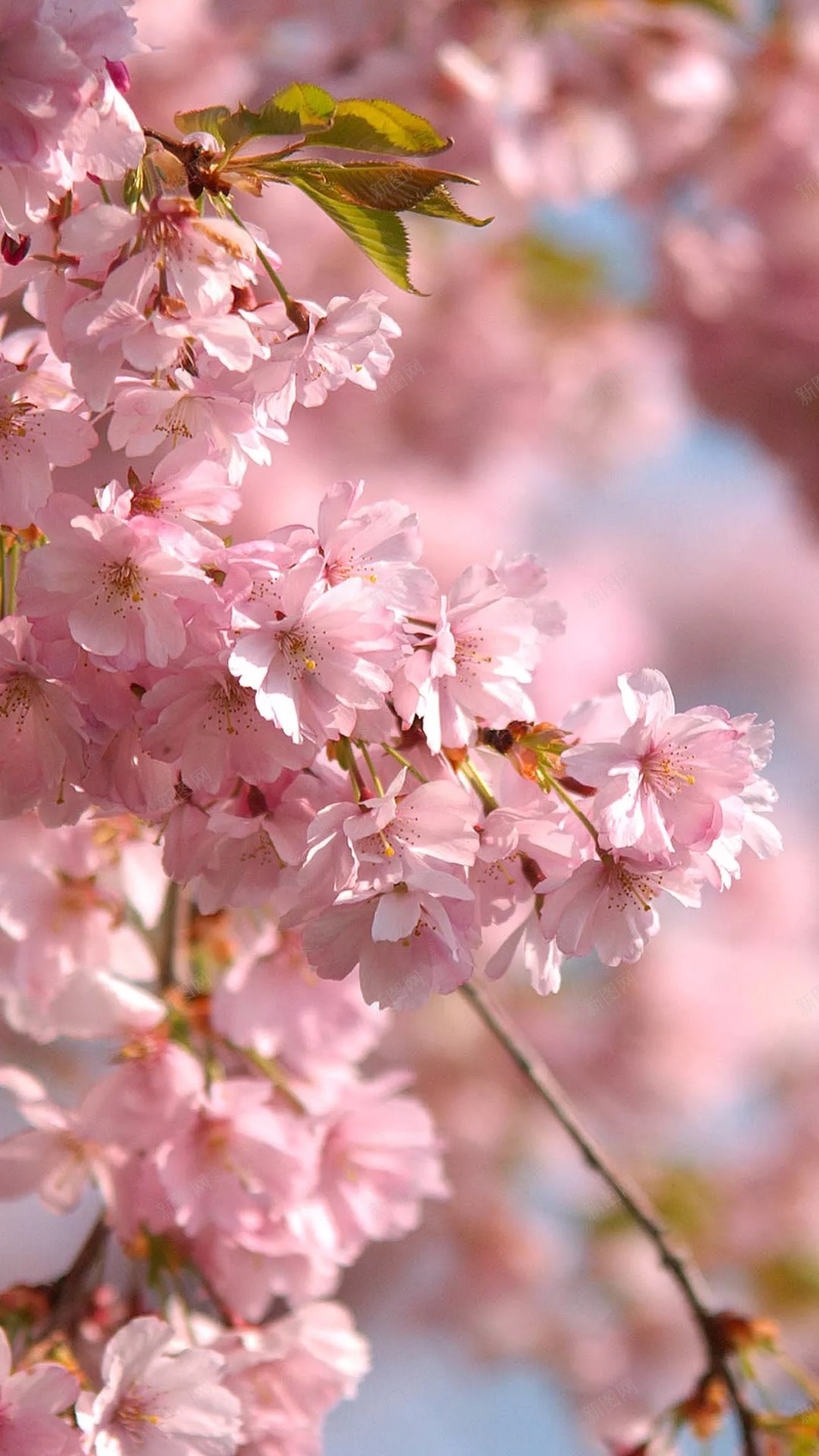 5b005fe2ea11491a10cb50022d1e66c817898f2a4e4e6-POzAdf