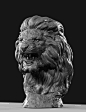 Lion face Оскал льва, Максим Сардушкин : And again greetings to all !) Offer to Your attention the grin of a lion ,the bust after some revisions and modifications) the Model is ready for 3D printing. As always constructive criticism is welcome!) Good luck