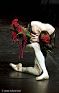 Svetlana Carmen Zakharova - Photo by Gene Schiavone http://www.geneschiavone.com/