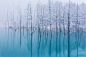 【美图分享】Nao Akimoto的作品《2014.first snow  blue pond》 #500px#