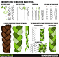Braiding Tutorial Reference by ConceptCookie