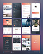 PheonixUI出品的完美时尚常用APP界面UI一套下载（PSD＋Sketch） #iOS#