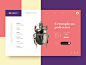 Bug Ecommerce Website Interactions : One more glance on the e-commerce UI that is far from common: here's an animated version of the user interface for a website selling variety of insects. The design сomposition is based around the h...