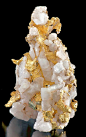 RARE specimen of Native Gold with Pyrite crystals on Quartz from the Mother Lode!: 
