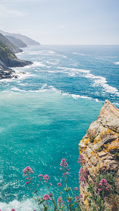 翠玉竹林采集到景