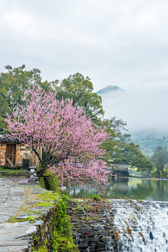 时计采集到风光