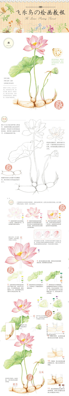 x虾i虾a采集到花