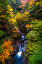 #风景#、#自然#、#素材#



Nara, Japan via GANREF | 天の川
