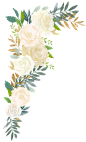 水彩唯美手绘白色婚礼请柬花卉装饰免抠PNG图案 PS设计素材 (45)