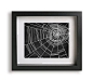 Spiderwebs / No Doubt - Halloween Art Print - halloween party, black and white, halloween decoration, spider, web, halloween decor