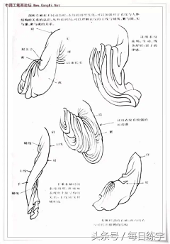 四木simu采集到工笔