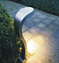 cobra contemporary landscape lighting#草坪灯#