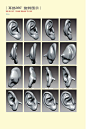 素描耳朵 (4)