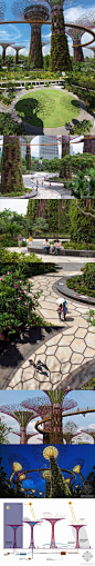 【滨海湾花园景观】滨海湾花园（Gardens by the Bay）是2013年Skyrise环保大奖得主，花园中共有18个超级大树（The Supertrees），高度介于25-50米之间。