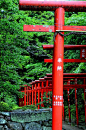 Ōmura Jinja Shrine, Nagasaki, Japan 大村神社　長崎