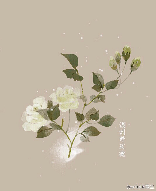 artistic青尘/绘  水彩手绘植物...