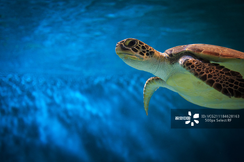 5b9c443e614531692ccdbabeb4005bb5a2edec1e1920b-zDiujR