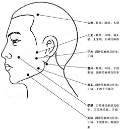 轻风吹过采集到健康生活