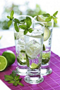 Skinny Girl Mojito | Adult Beverages