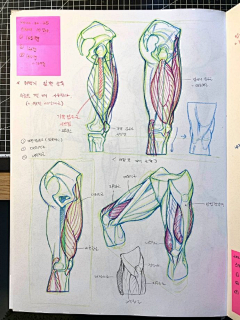 欻燚采集到人体结构