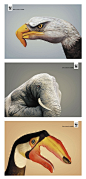 Give a hand to Wildlife advertising design for WWF - ... | Ads : print