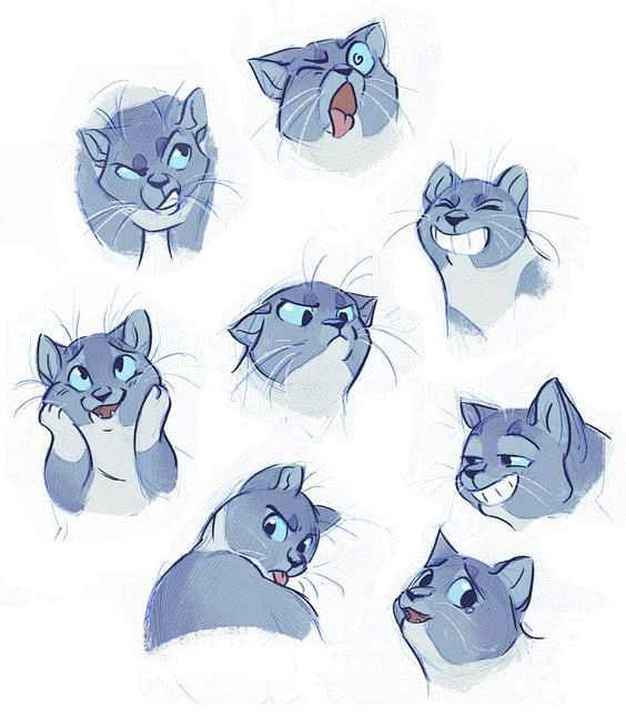 Kitty Expressions by...