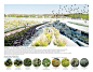 The Los Angeles Riverscape : an Urban Estuary by Tina Chee, via Behance