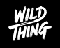 Wild Thing by David Sanden 