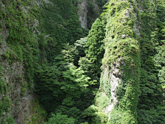 尹楠山月采集到场景