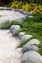 rock edging +ground cover conifer