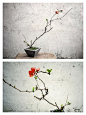 【觉 X 响】推荐创作团队“什么Design”登《上海壹周》设计师专访---水泥+植物的奇妙化学反应