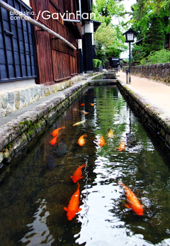 ꧁༺芒果君༻꧂采集到旅行