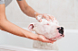 Bath of a dog Dogo Argentino by 135pixels Eduardo Gonzalez on 500px