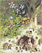 【童话绘本】讲述了老鼠爸爸和老鼠宝宝在森林里迷路，得到好心小矮人帮助的故事。Erich Heinemann (Author) / , Fritz Baumgarten (Illustrator)