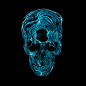 Artificial Anatomy 2 : Artificial Anatomy is an ongoing personal project intended to explore our understanding and perception of surface, texture and volume. Part 2 uses flashing electroluminescent wire to illuminate sections of a human head and skull. Th