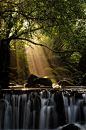 Sun Ray Waterfall, T... - 平常如水采集到视角 - 花瓣