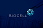 Biocell : Brand identity for Biocell – a medical organisation specialising in the research and advancement of biological technologies.