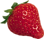 @冒险家的旅程か★
草莓png 草莓素材 水果 食物 美食 png水果元素