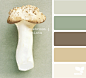 mushroom tints